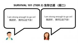 survival chic 101 tier 2 both are ok edited