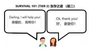 survival chic 101 tier 2 husband help wife edited