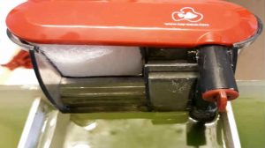 Rearing fish 6 water fall pump 20180323 edited