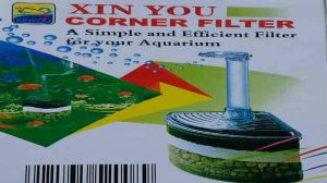 rearing fish filter 20170616 edited